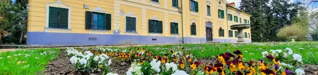 Draskovich kastély parkja