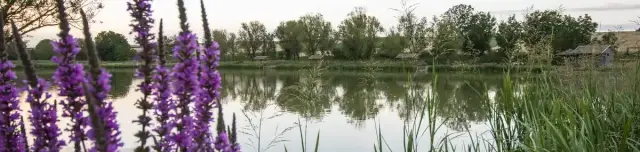 Sombereki Horgásztó