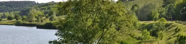 Szálka Strand és Kemping