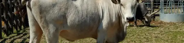 Hagyományos gazdálkodás tanösvénye