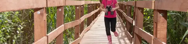 Ős-Dráva tanösvény