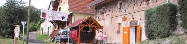 Borház- Szőlészeti és borászati kiállítás
