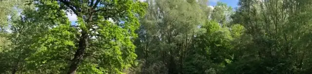 Szedresi-tó (Holt Sárvíz)