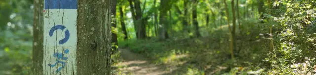 Sötétvölgyi tanösvény