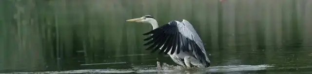 Szentborbási tanösvény