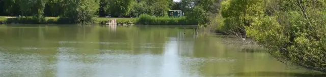 Tótszentgyörgyi horgásztó