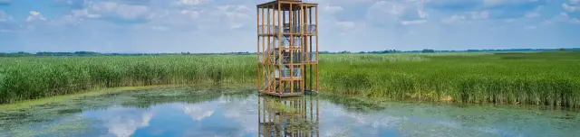 Bölömbika kilátótorony