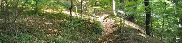 Vén Fák tanösvény