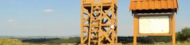 Szőlőhegyi tanösvény