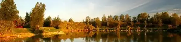 Fish Farm Horgásztó