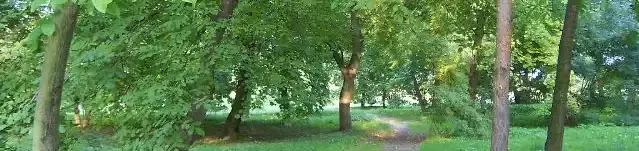 Bregyó közi kiserdő