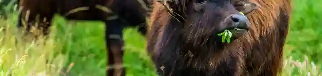 Csetényi Élménypark