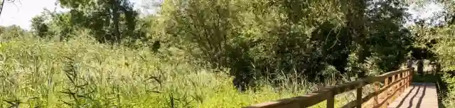 Fejetéki mocsár tanösvény