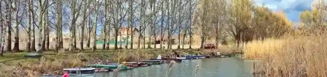 Nádas-sziget és parkerdő