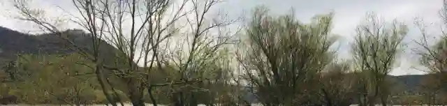 Kisoroszi Szigetcsúcs