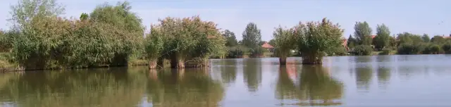 Vályogos horgásztó