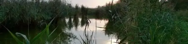 Toma-tó Horgászparadicsom