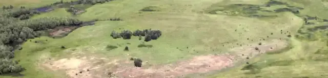 Daru-láp tanösvény