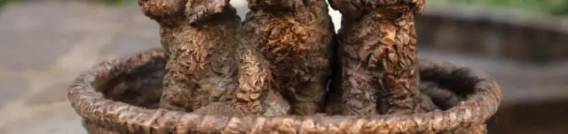 Kolodko Egyszer volt Budán kutyavásár miniszobor