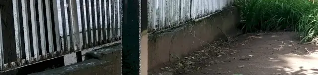 Kolodko II. Rákóczi Ferenc miniszobor