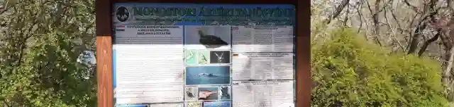 Monostori ártéri tanösvény