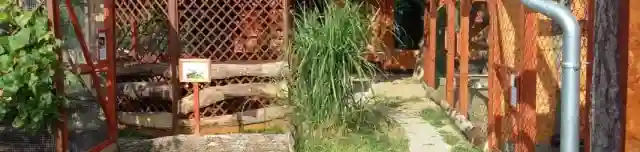 Mini ZOO