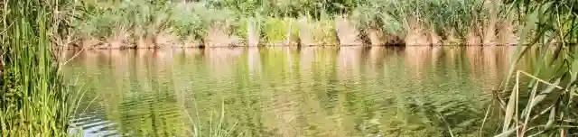 Völgyhídi Horgásztó