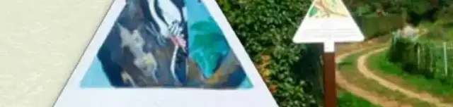 Királyvölgyi Természetvédelmi Tanösvény