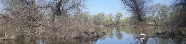 Lakitelki-tőzegbányatavak