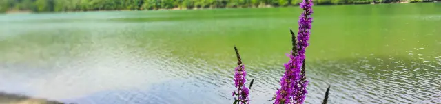 Lázbérci víztározó