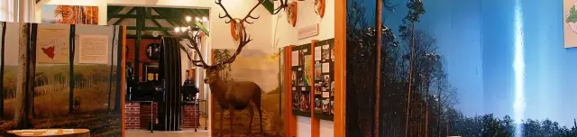 Göcsej kincsei, az erdő és a fa