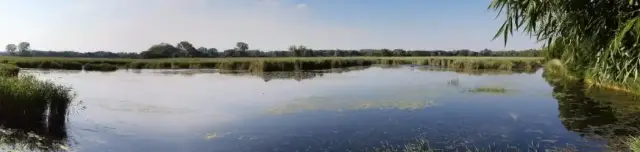 Holt-Duna tanösvény