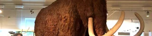 Magyar Természettudományi Múzeum