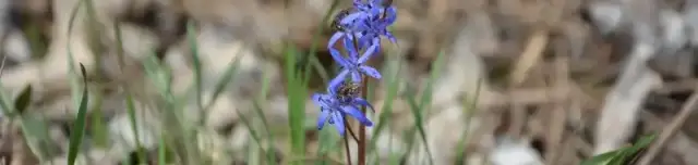 Bökényi tanösvény