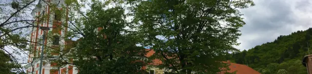 Máriagyűdi Kegytemplom