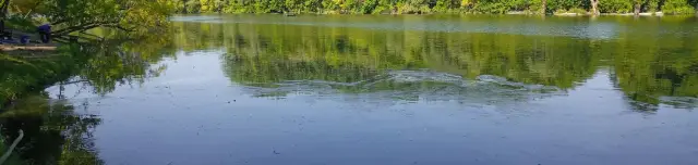 Mártélyi Holt-Tisza