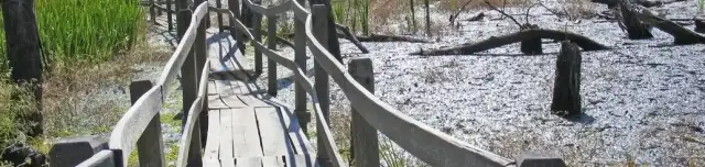 Tisza-holtág tanösvény