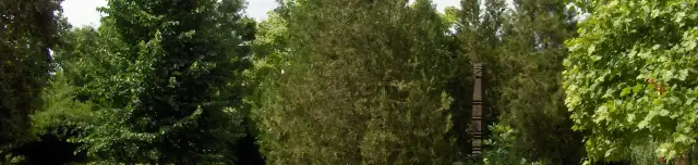 Csanád Vezér Emlékpark