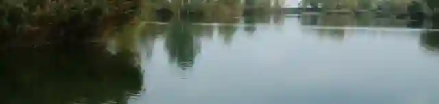 Mezőkovácsházi homokbányató