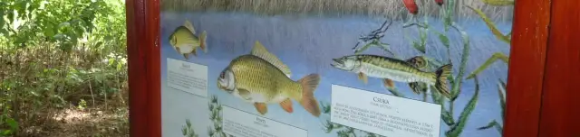 Kurca-parti Tanösvény