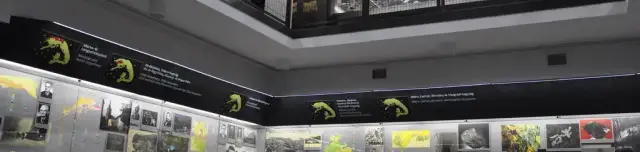 Pannon-tenger Múzeum