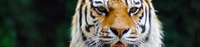 Miskolci Állatkert és Kultúrpark / Miskolc Zoo