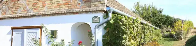 Szőlőhegyi pincesor