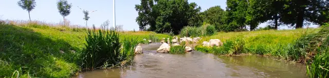 Mosonmagyaróvári Hallépcső