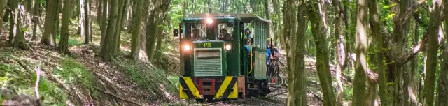 Nagybörzsönyi Erdei Vasút