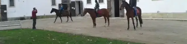 Széchenyi István Lovasképzési Központ