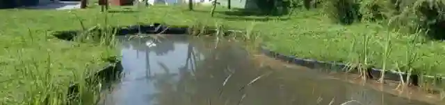 Szikes vizes élőhelyek tanösvény