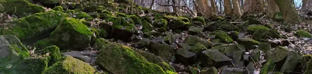 Bazalt utca - Buruczky Ferenc Tanösvény