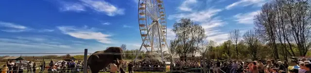 Éjszaka a nagykőrösi Safari Parkban