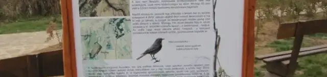 Szőlő-laposi tanösvény